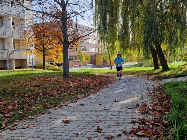 35. Glauchauer Herbstlauf